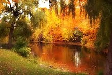 rivière en automne